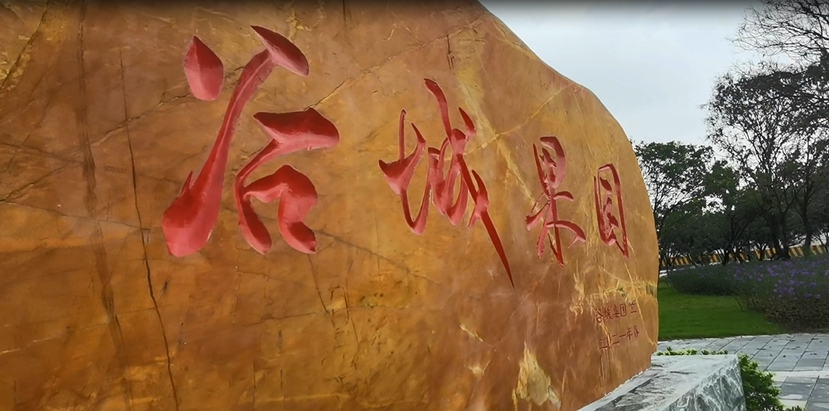 谷城矿业直播：走进“谷城果园”！