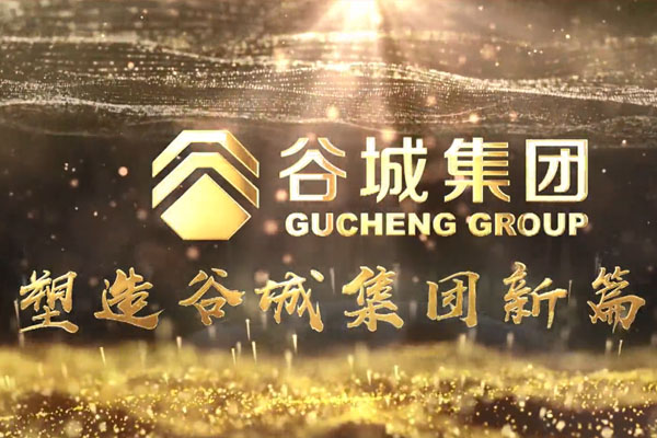 共筑新时代，不负韶华梦——谷城集团隆重举行2019年度荣誉表彰大会暨2020年迎春年会