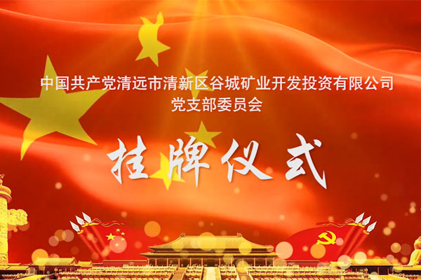 以党建促发展，以发展强党建——谷城矿业党支部委员会正式挂牌成立